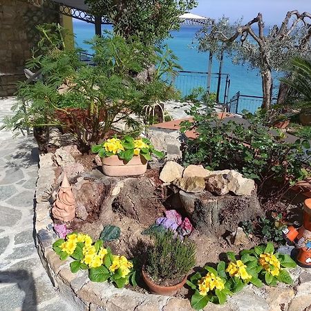 B&B Nido Sul Mare Alassio Eksteriør billede