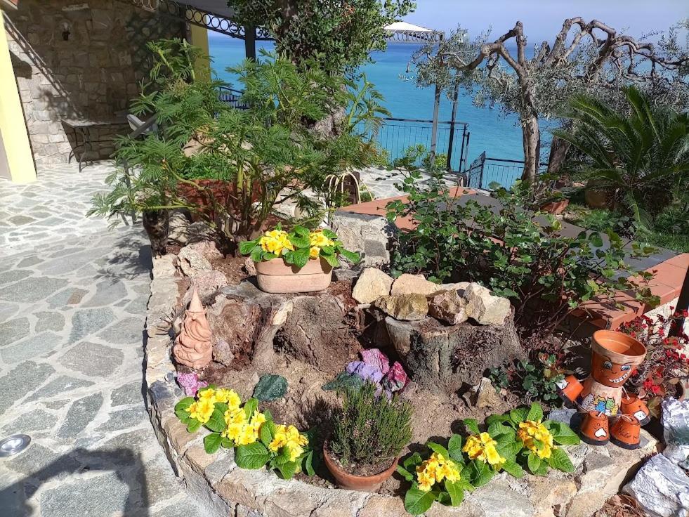 B&B Nido Sul Mare Alassio Eksteriør billede